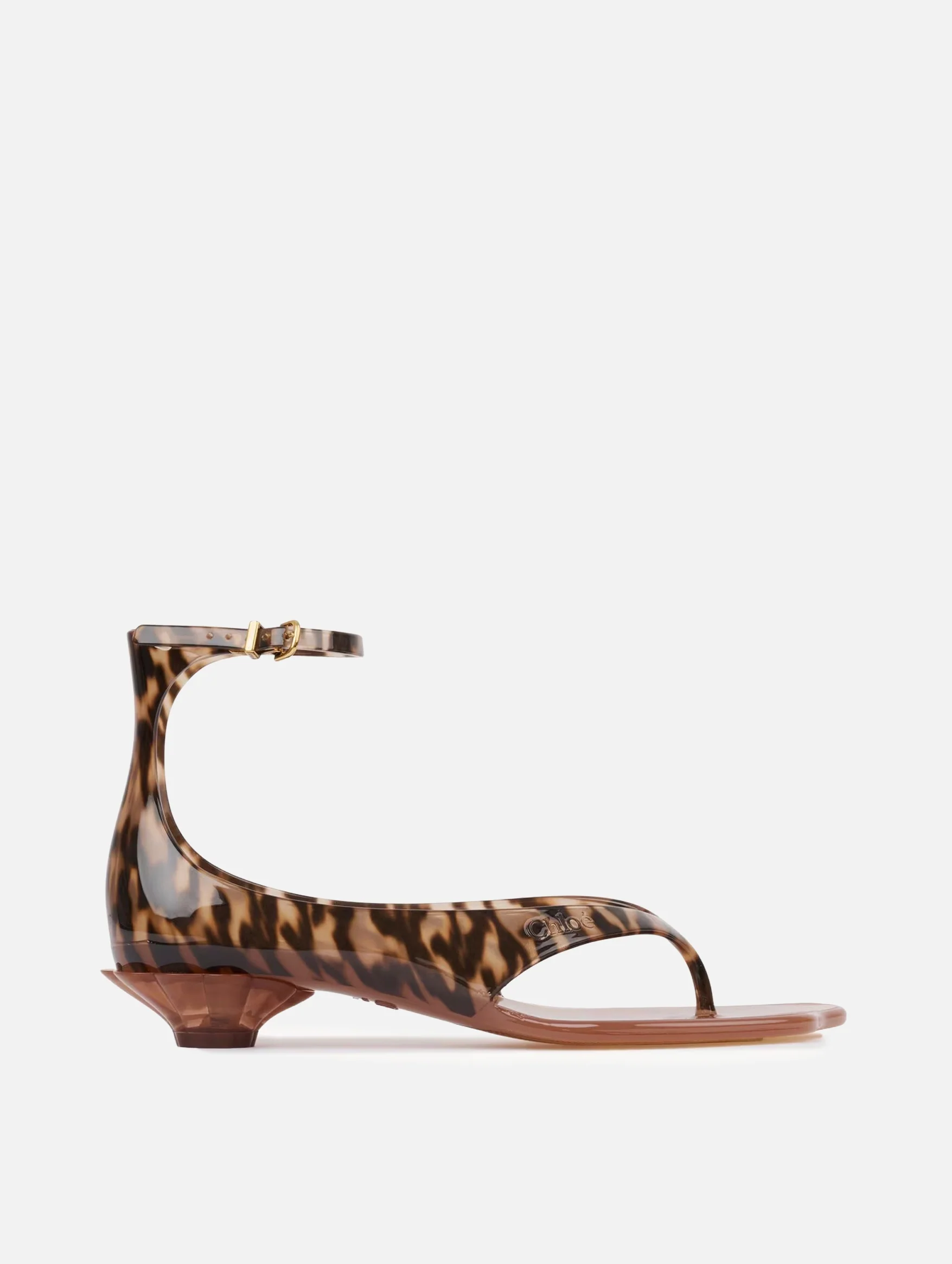 Chloé Jelly Sandal in Black Brown