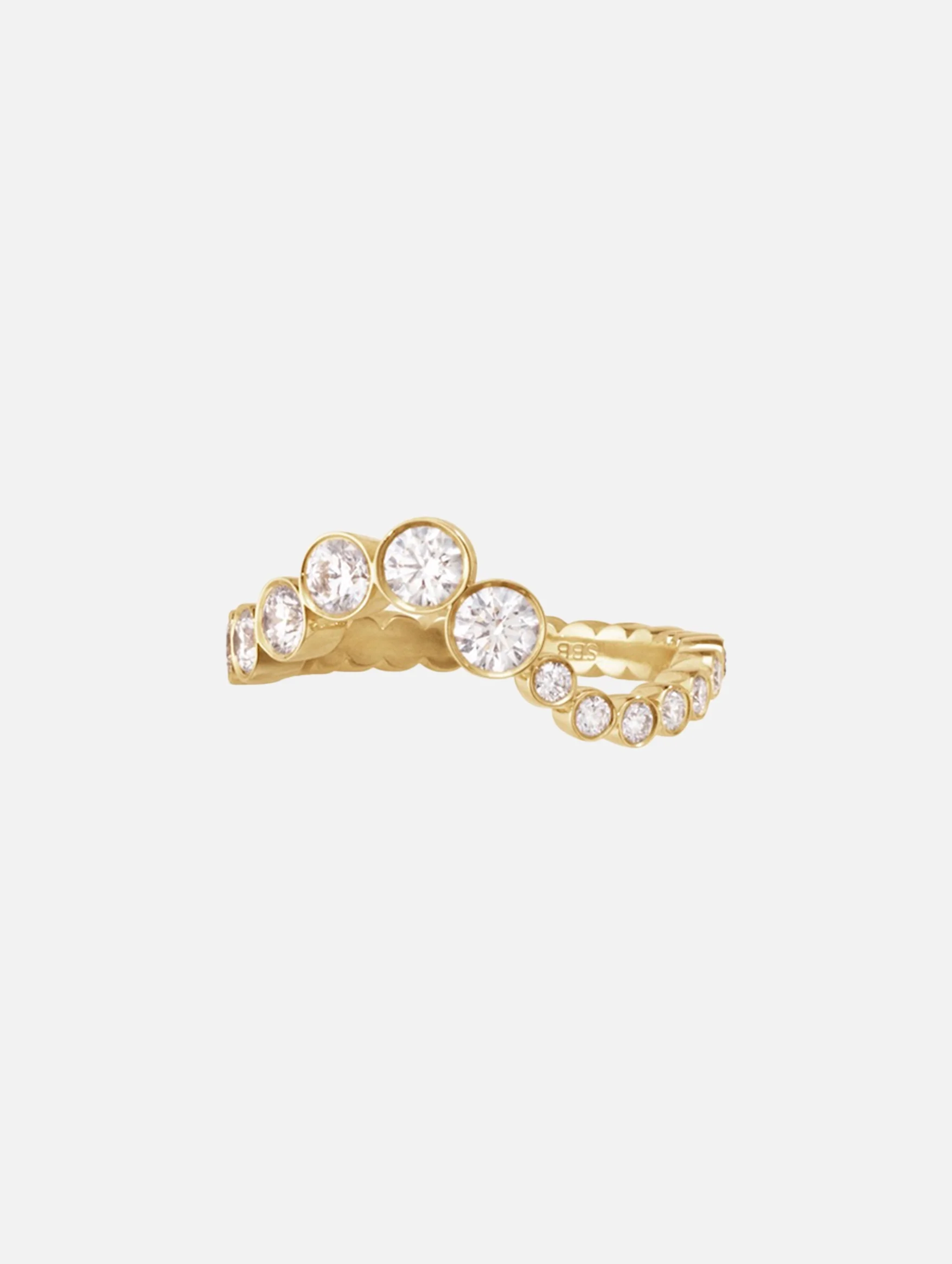 Ensemble Ocean Ring
